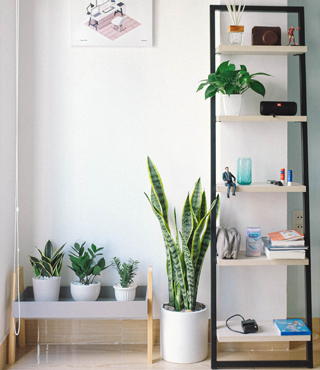 Decoración de interiores sostenible… ¿Qué es?